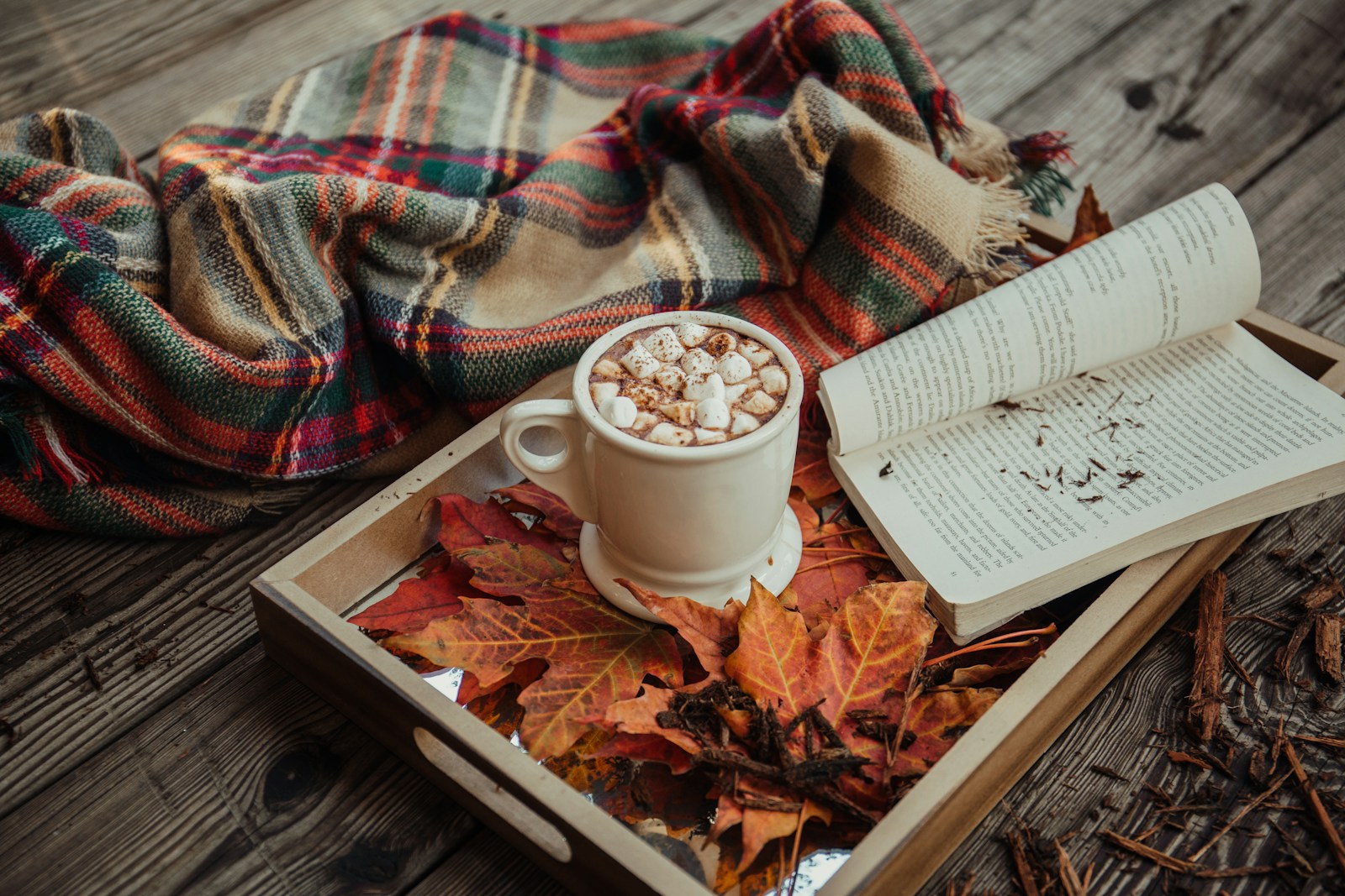Fall Reset Challenge